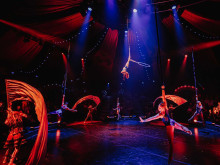 Come Alive! The Greatest Showman Circus Spectacular