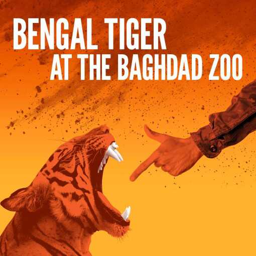 Bengal Tiger at the Baghdad Zoo Bengal Tiger at the Baghdad Zoo