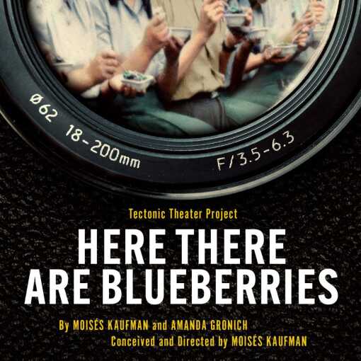 Here There Are Blueberries