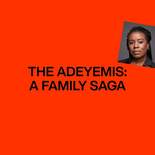 The Adeyemis - A Family Saga